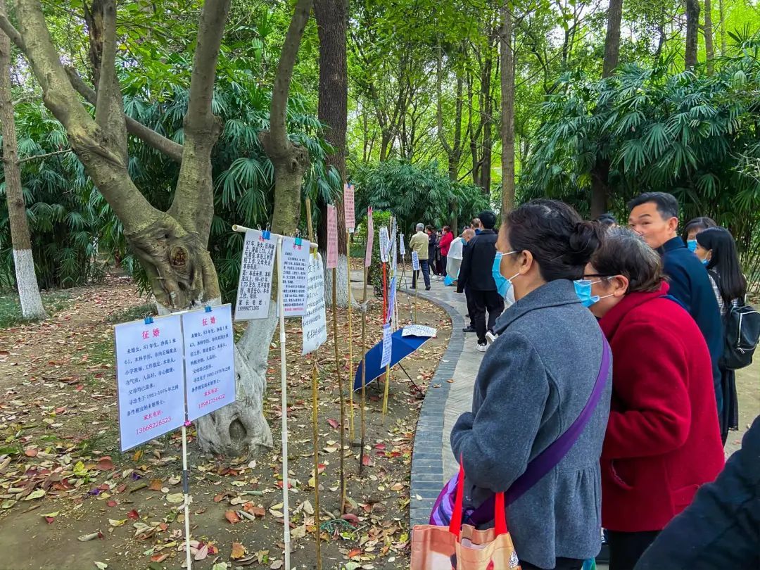 成都相亲角里为孩子征婚的父母。在中国的语境下，婚姻不仅仅是自己的事。