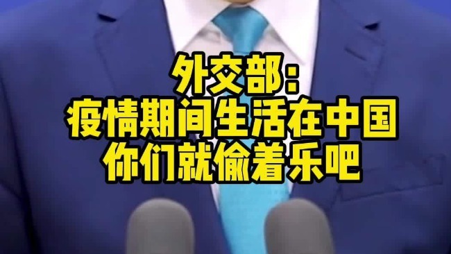 赵立坚回应外国记者你们就偷着乐吧