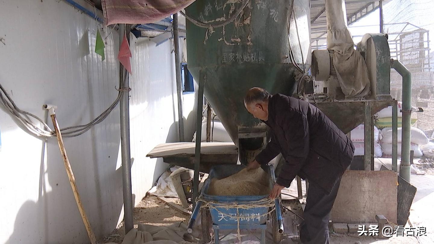 【走向我们的小康生活】（112）“牛”产业带来“牛”日子