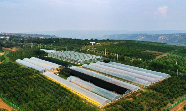 西安經開區與藍田縣政府合作共建藍田縣農林產業扶貧示範基地