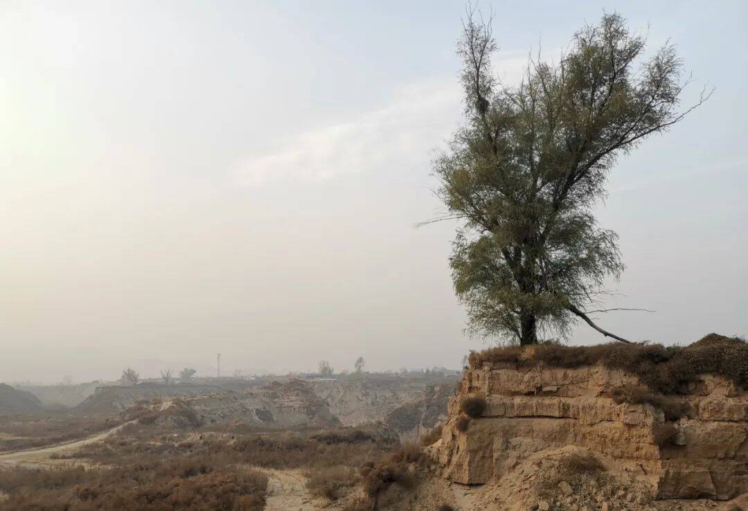 海威工厂附近的沙坑，曾经是村民的耕地。 《等深线》记者 李城 摄