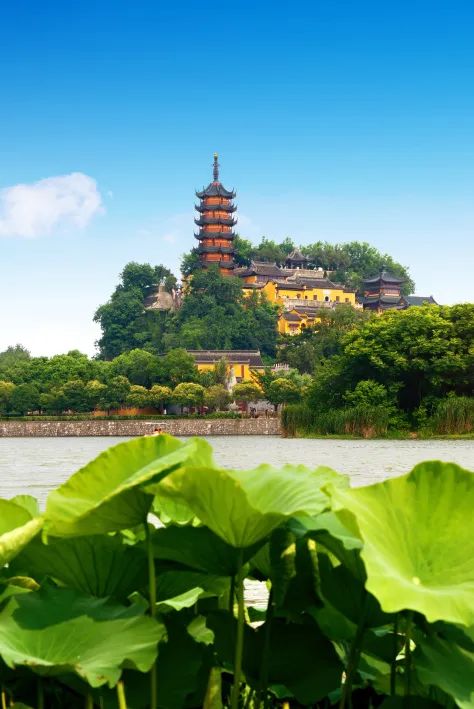 你的家乡，是什么“都”？