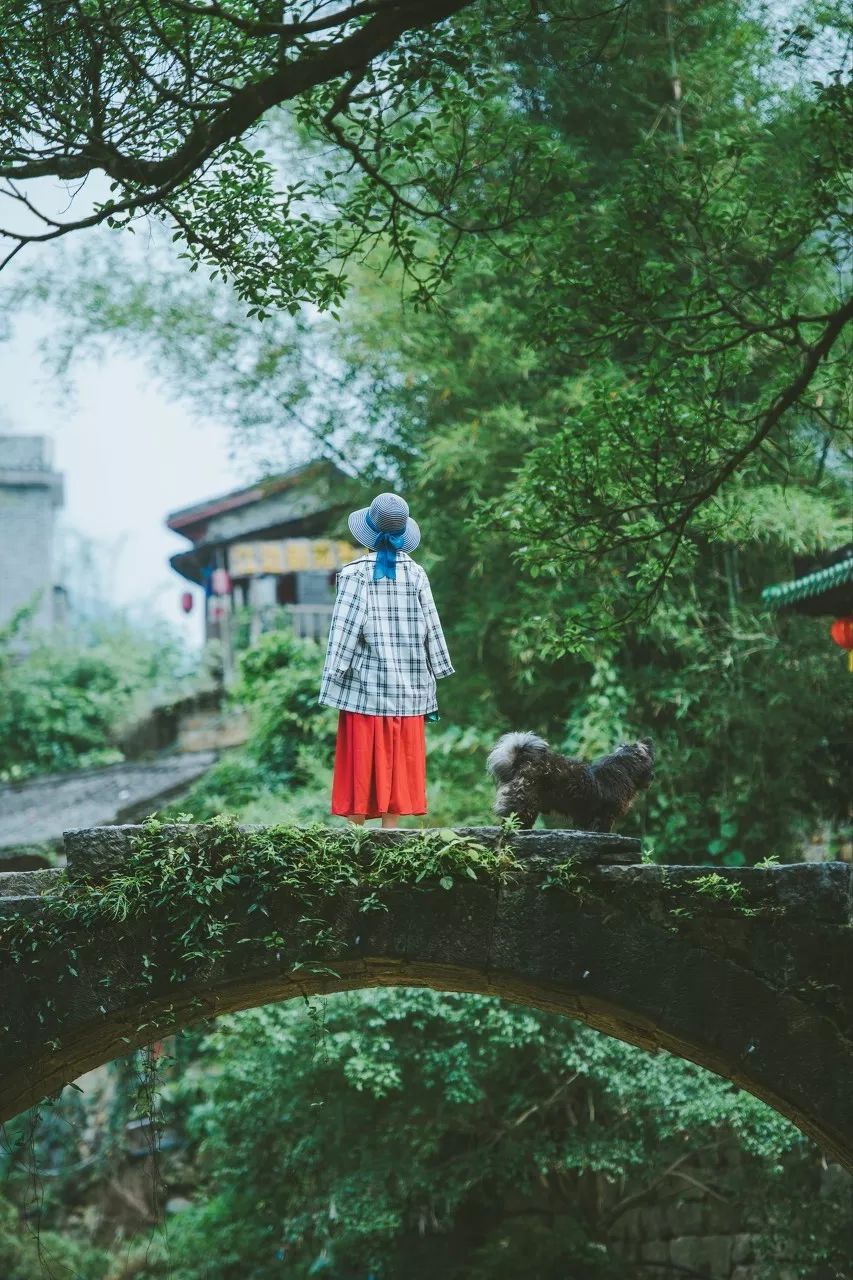 ©图虫 Z行摄