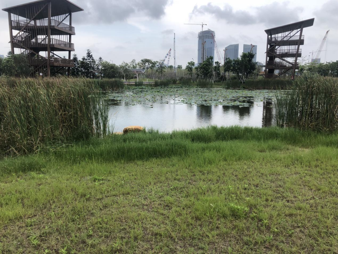 灵山岛尖雨洪公园 雨水调蓄塘