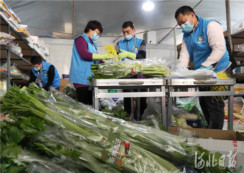2021年1月7日，石家庄市鲜品鲜活社区电商团购平台的工作人员正在分拣新鲜蔬菜。