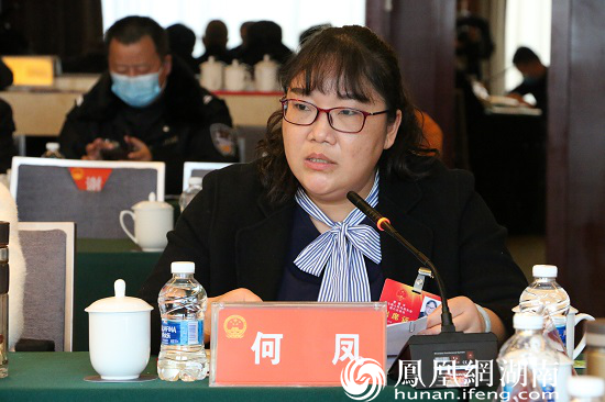 何凤代表发言