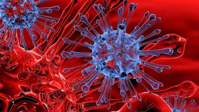 医学专家疾呼:要警惕南非新冠变异病毒