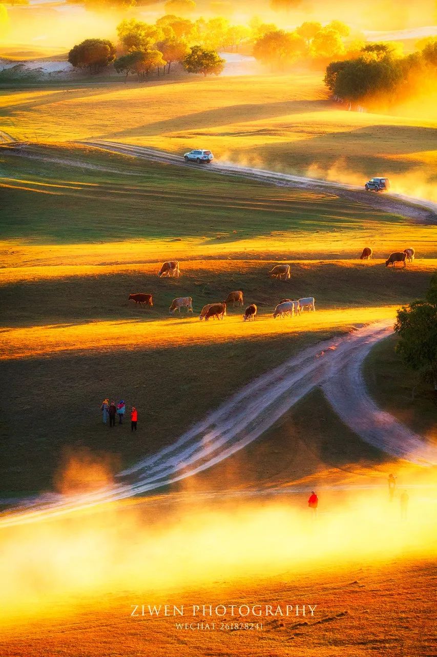©图虫 子文视野