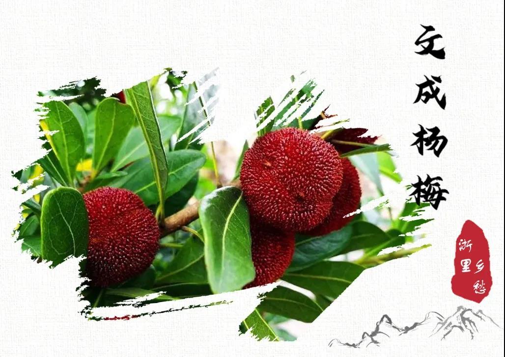 浙江新增23个农产品地理标志