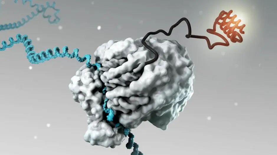 辉瑞新冠疫苗可抗癌?新型癌症疫苗有效率高达90%