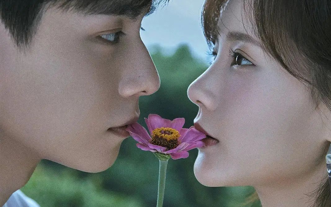 大ip,大制作,大公司的2021重磅剧集都在这儿