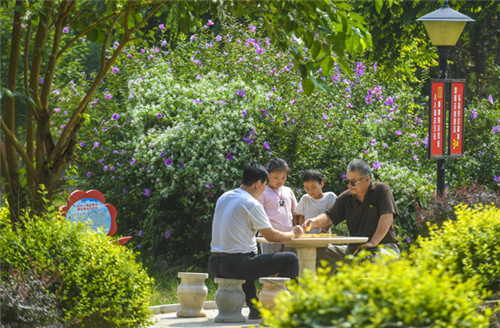 村民在衡水市桃城区赵家圈镇前铺村生态文化公园内下棋 李晓果 摄