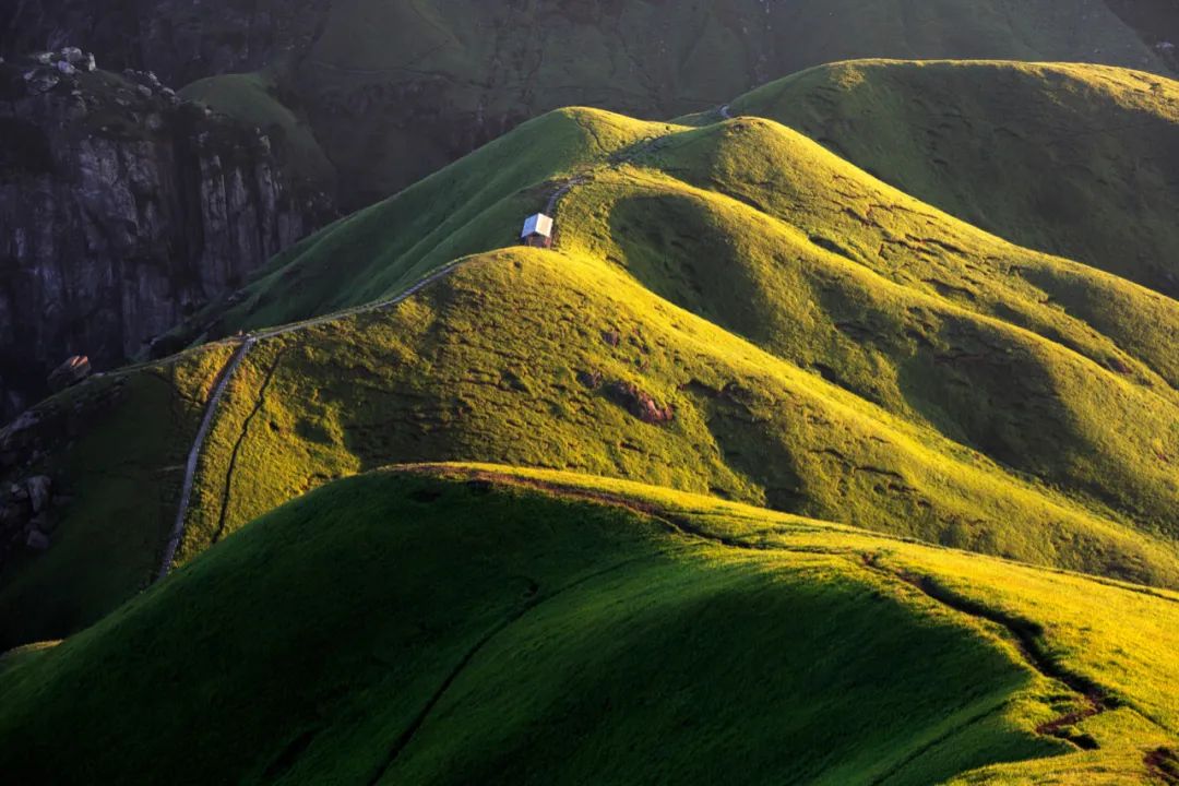 图/ shutterstock