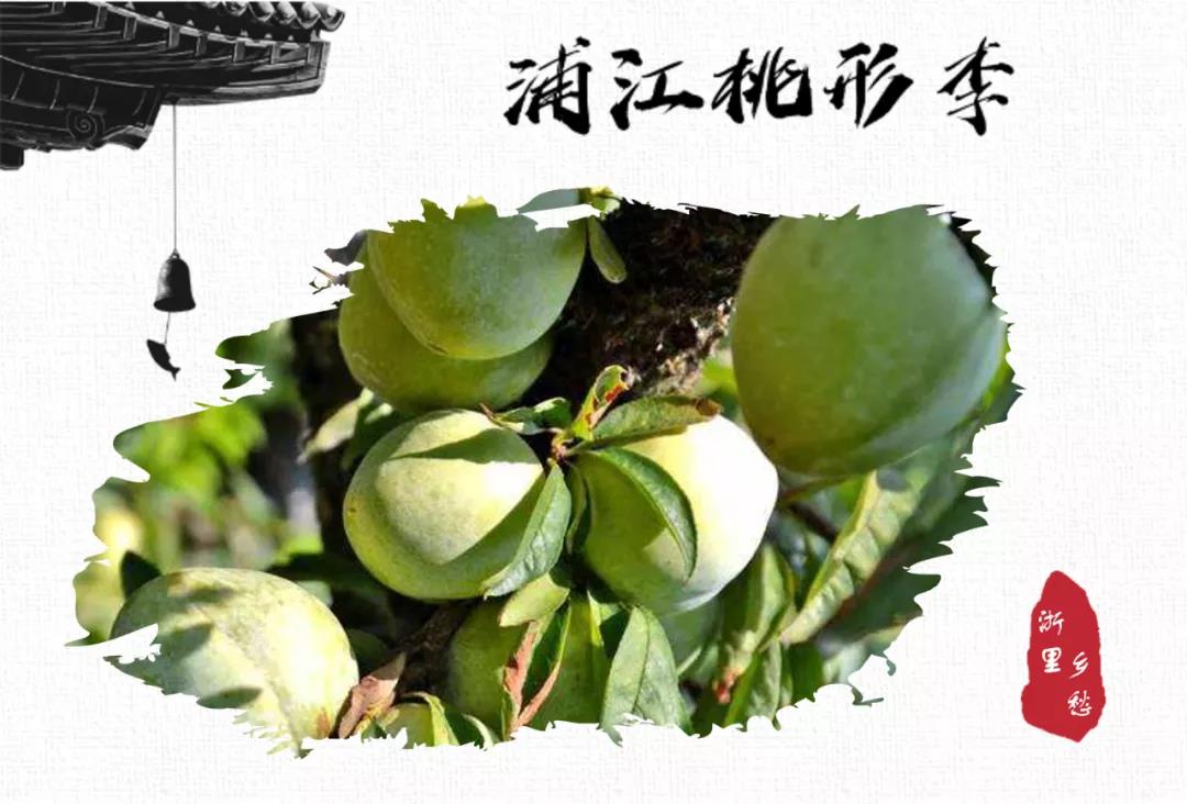 浙江新增23个农产品地理标志