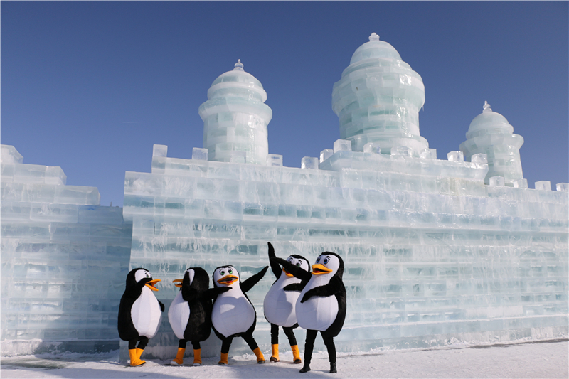 2021年1月1日"冰雪企鹅"在河北省承德市丰宁满族自治县大滩镇一处