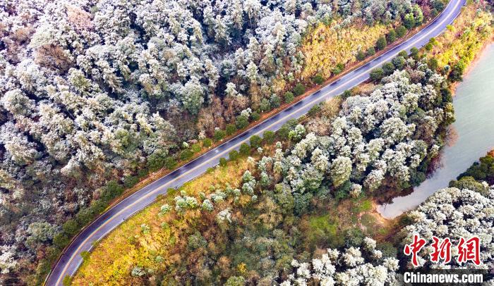 当日，航拍下的新余市仙女湖风景名胜区环湖路蜿蜒曲折，50平方公里内的100多座大小岛屿、数万公顷原始森林被初雪轻抚笼罩，呈现别样风景。　赵春亮 摄
