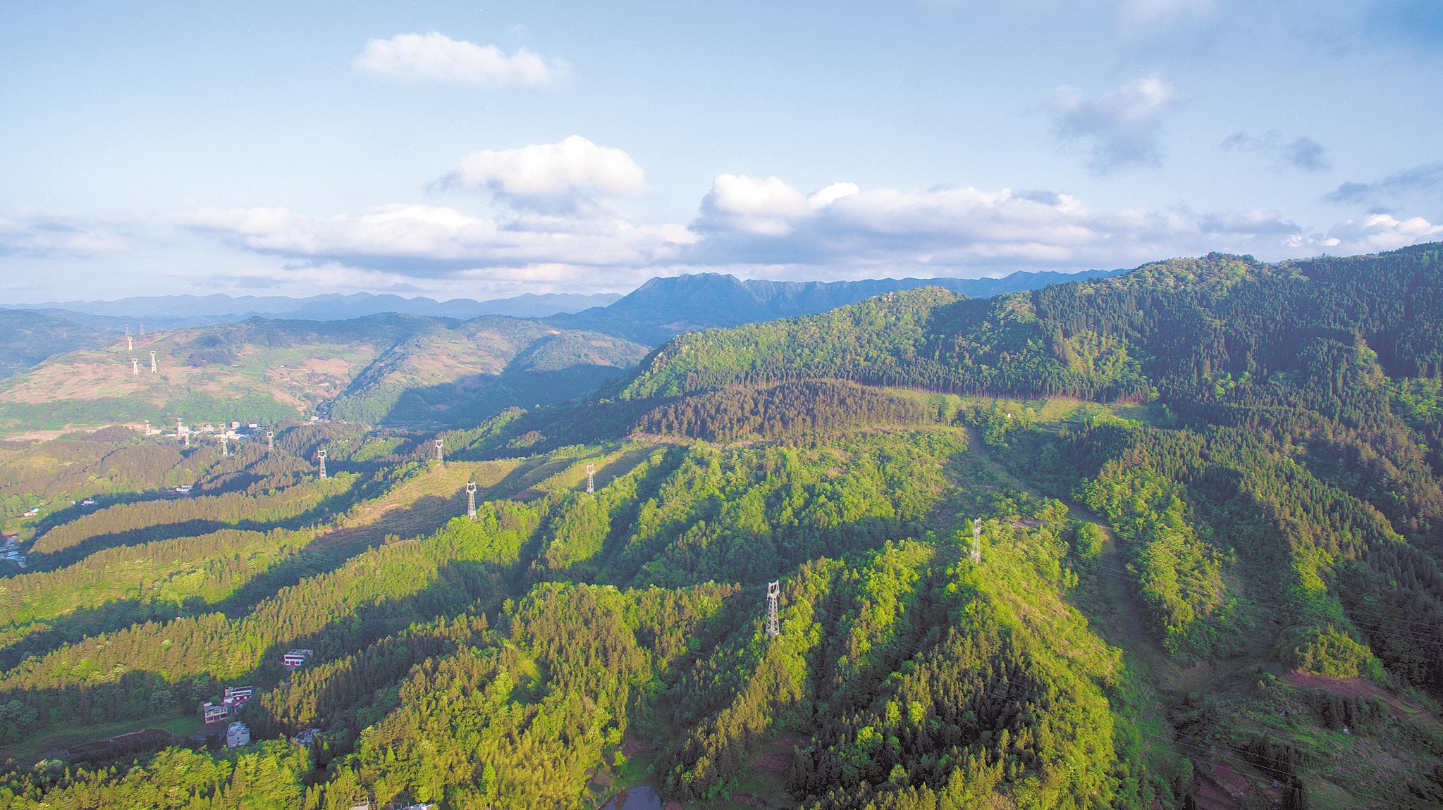 鄂西林海美如画.(省林业局供图)