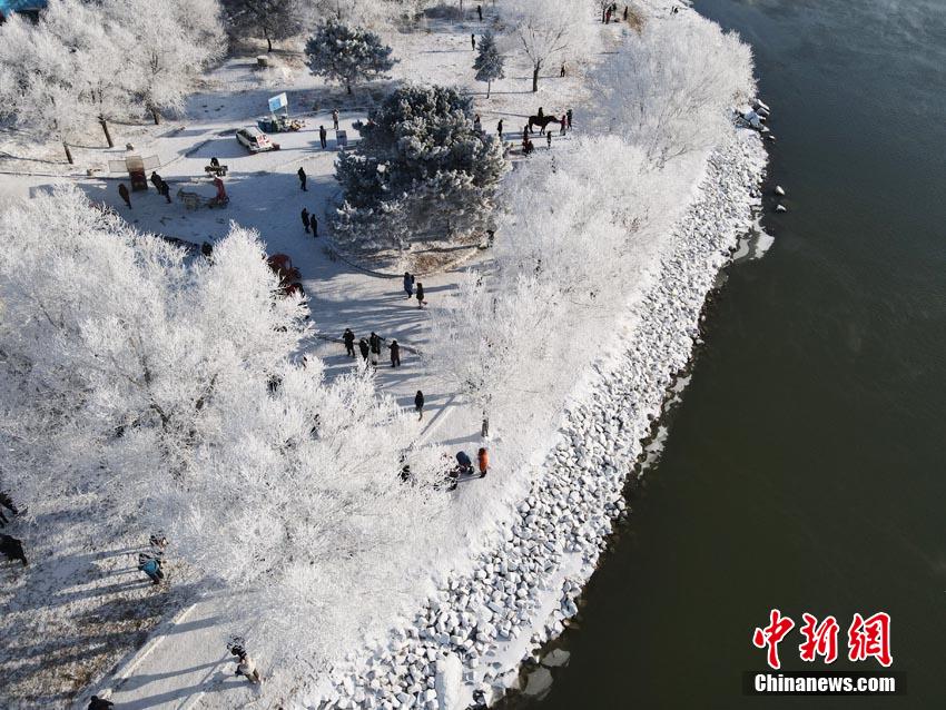 雾凇美景如画。 苍雁 摄