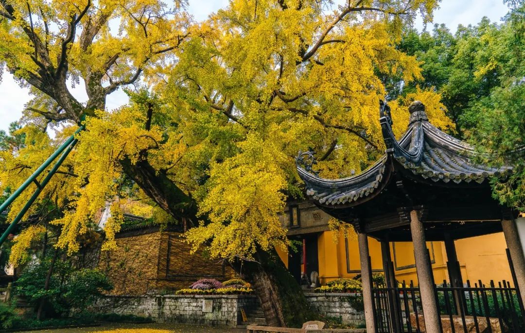 图/穷游er 陆建华摄影
