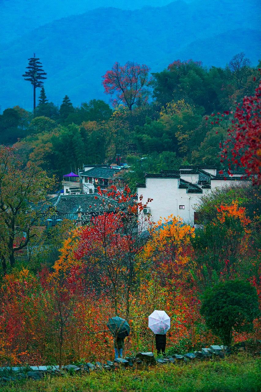 ©图虫 蓝蓝蓝蓝蓝天