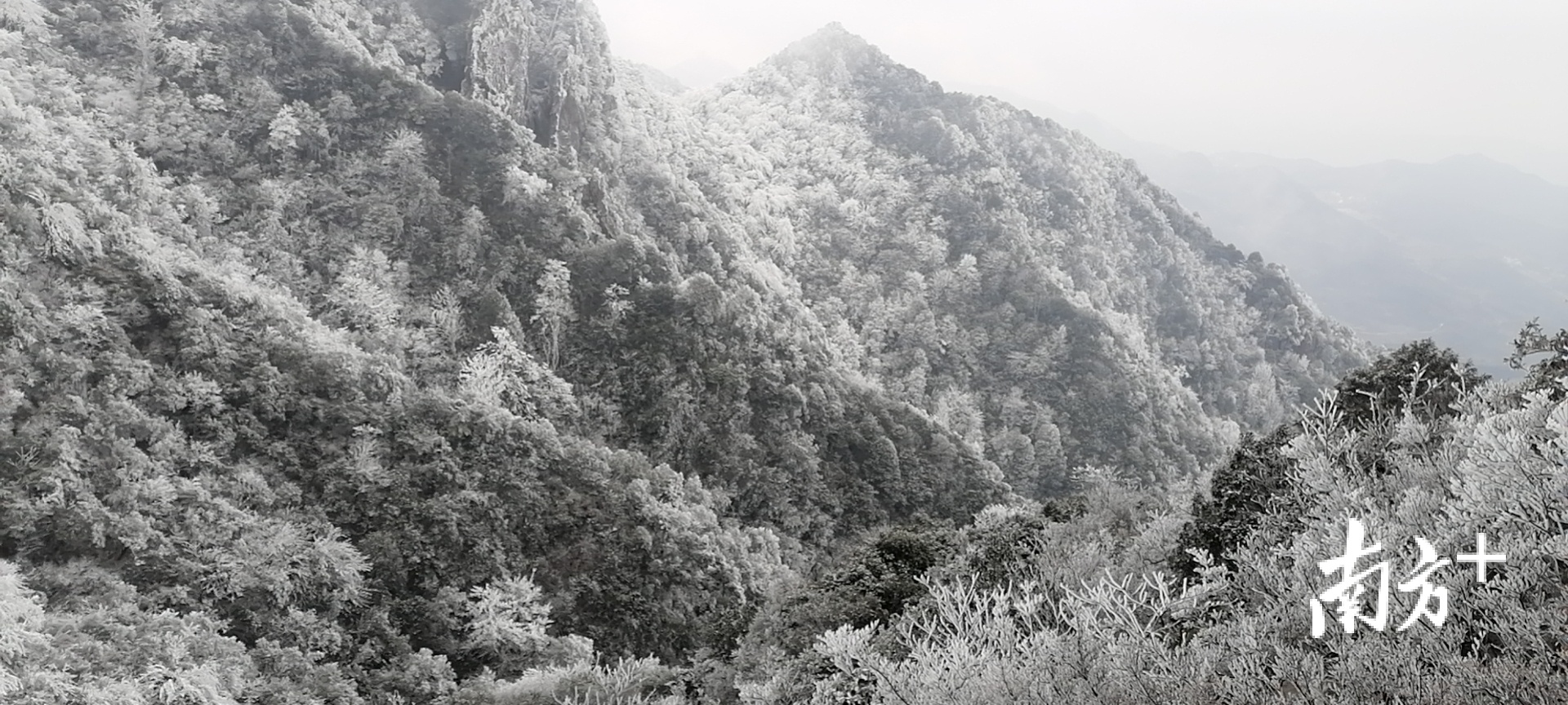 冰雪奇缘！时隔五年韶关市区再下“雪”，多地出现绝美“冰挂”