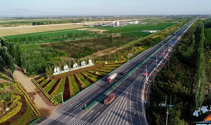 ▲张民公路交通大林带