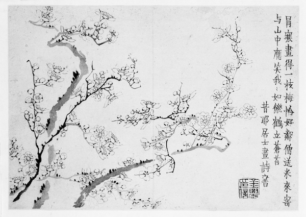 金农《梅花册》第三开