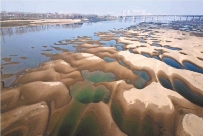 正处枯水期，长江武汉段天兴洲出现大小不一、连绵不断的沙坑。