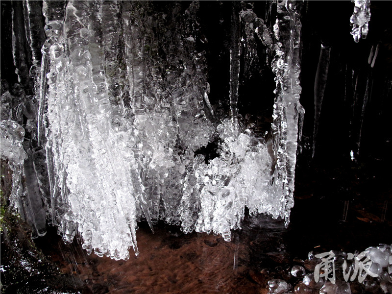 42——每件冰雕作品晶莹剔透、玲珑可爱.jpg