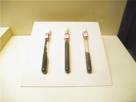 属大地湾一期文化的黍、粟、油菜子标本