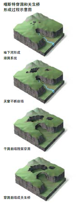 ◎ 喀斯特穿洞和天生桥形成过程示意图。绘图/李亚龙