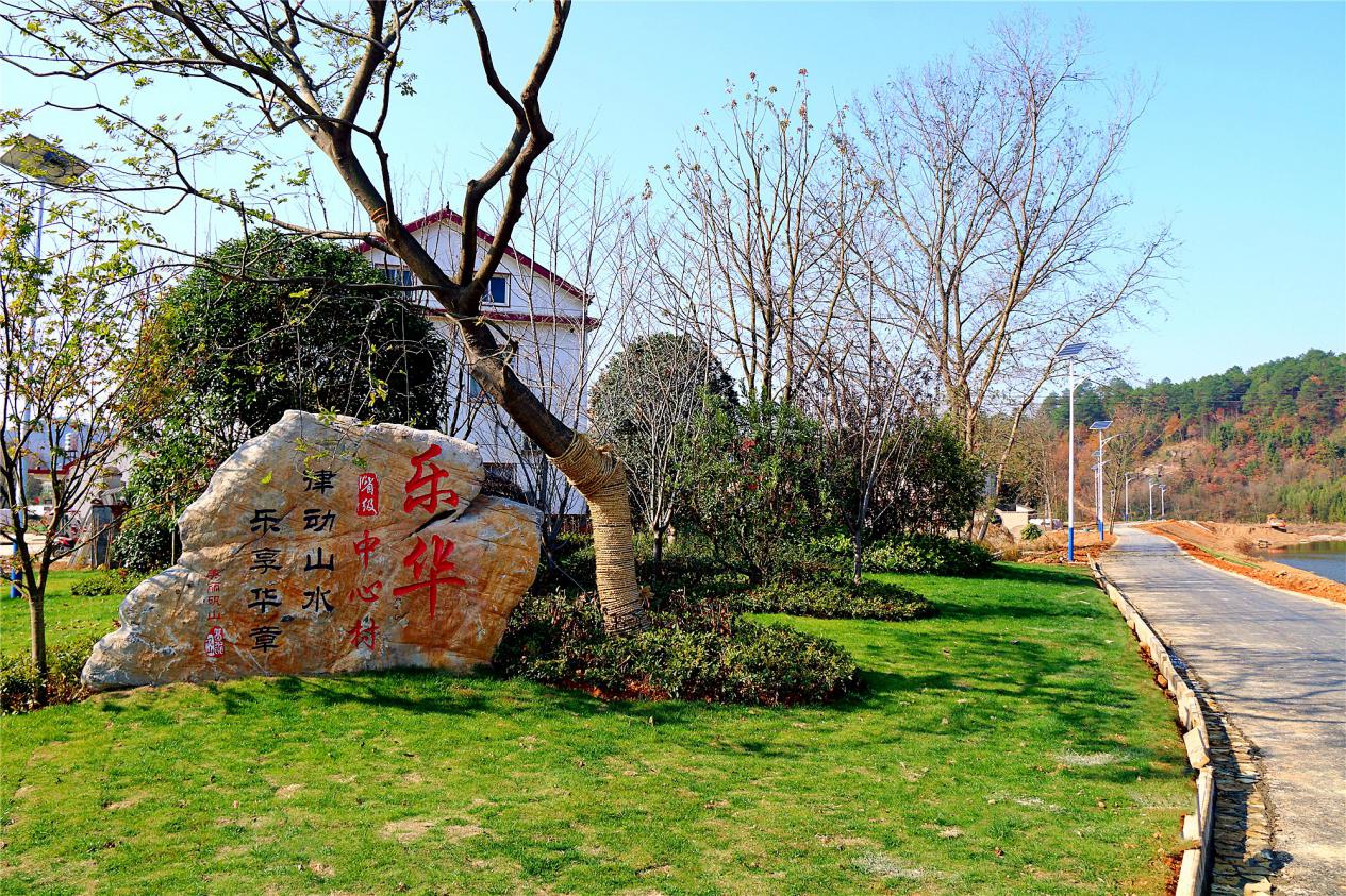 庐江县矾山镇乐华村四措并举助力集体经济破茧成蝶