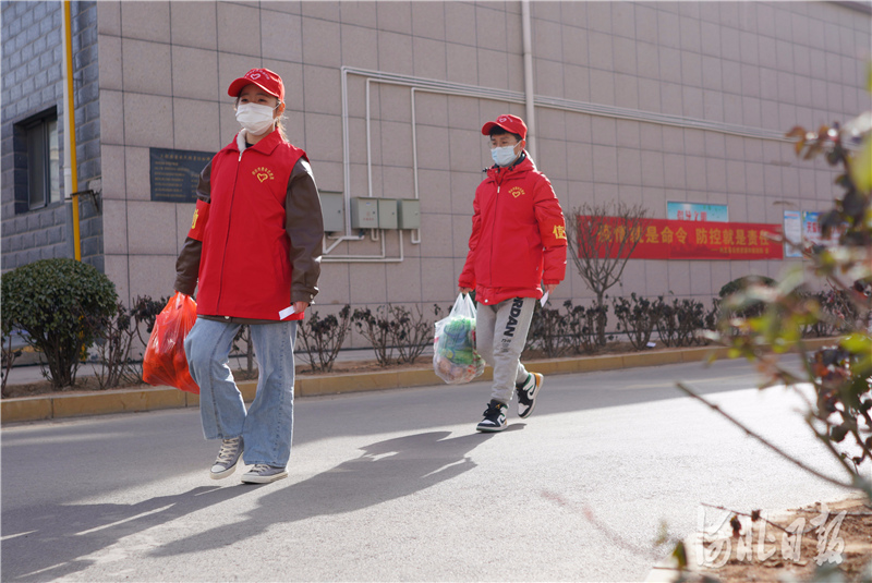 2021年1月11日，保定学院的返乡学生魏育娜（左）和 来自河北交通职业技术学院的返乡学生冯明泽，在河北省内丘县一小区为居民送菜上门。通讯员刘继东摄影报道