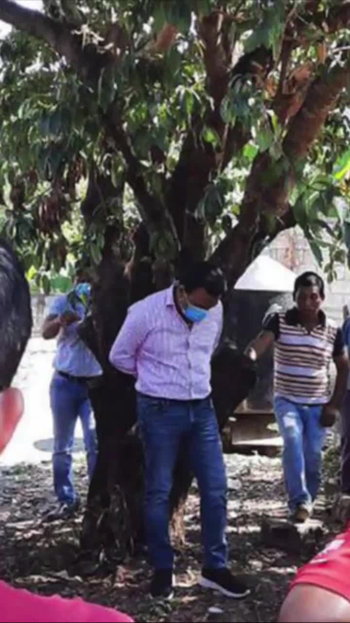 没能实现墨西哥正常供水后，市长被居民捆绑在树上