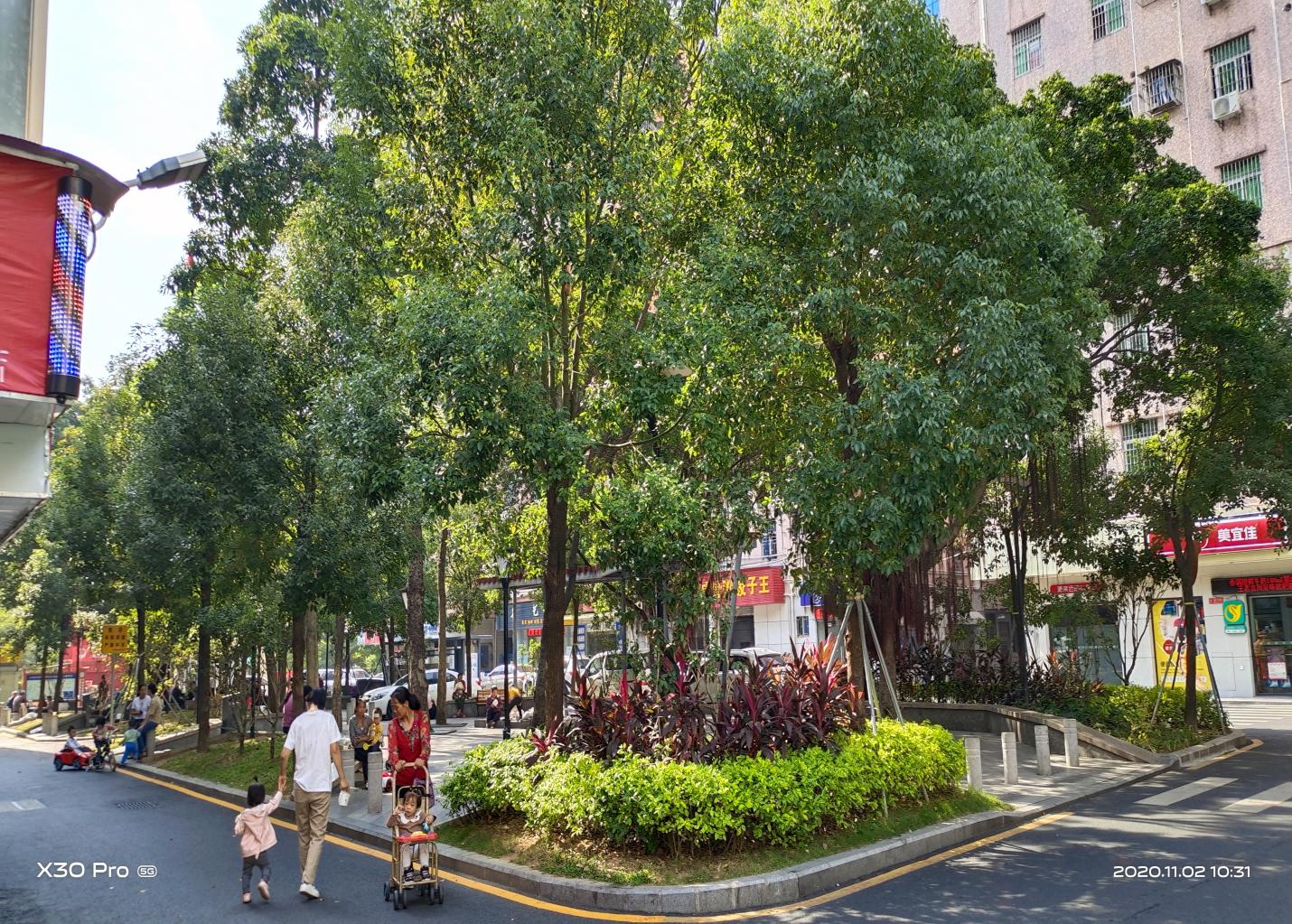 龙华区大浪街道市容环境上新台阶城区面貌更加靓丽