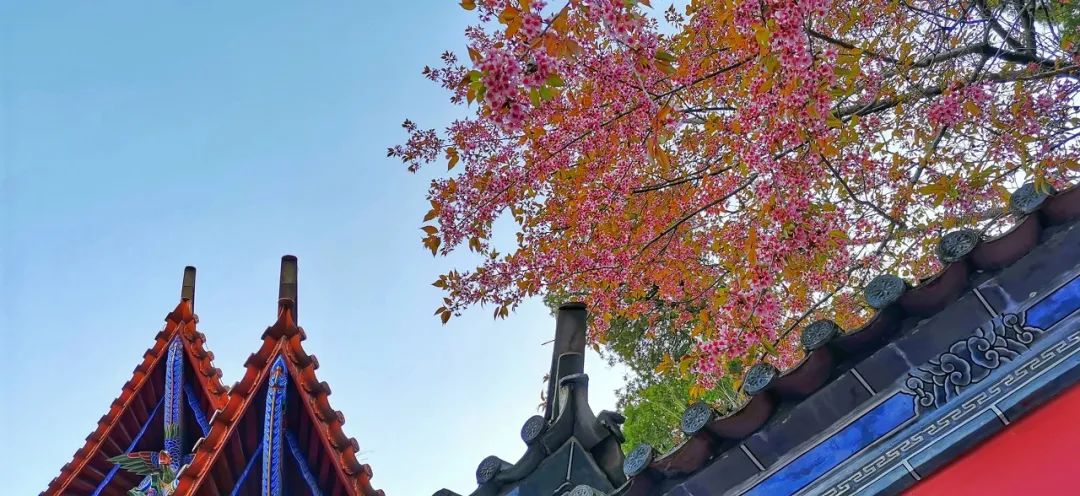 ©图虫：爱烘焙的波哥