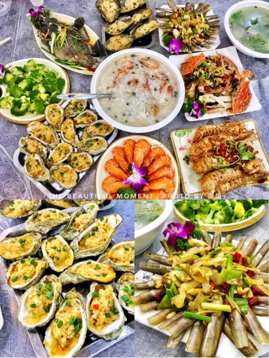 小红书©️ 保护我方御姐