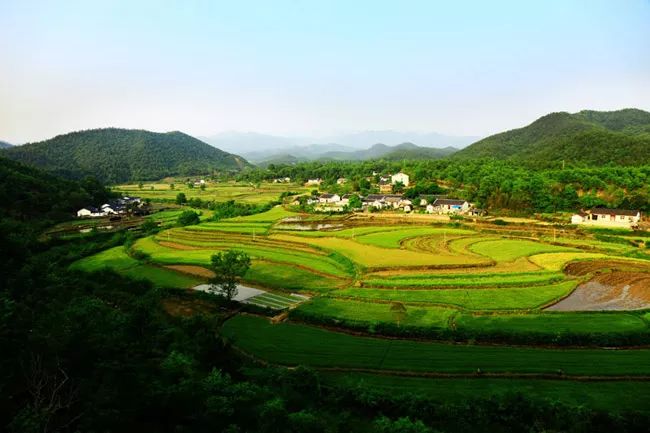 湖北这个世界长寿之乡，位于神秘北纬31°，典藏众多山水美景，少有人知，但知道的人都想去养老！