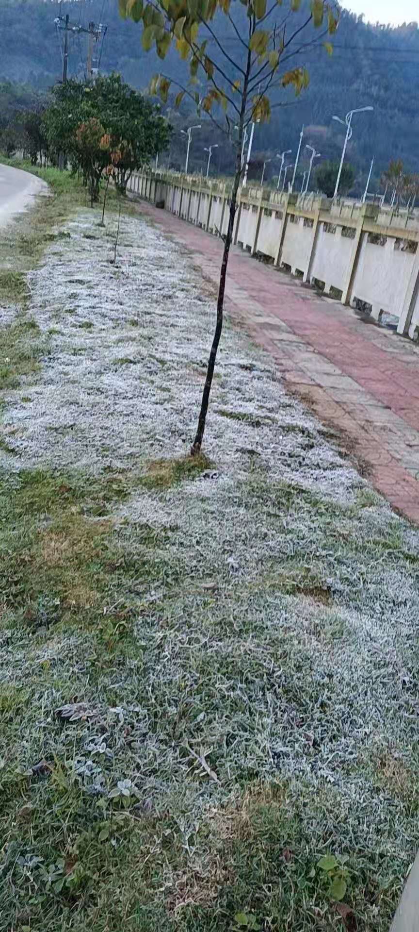 冷出天际琼中黎母山林场03五指山水满乡出现结霜现象