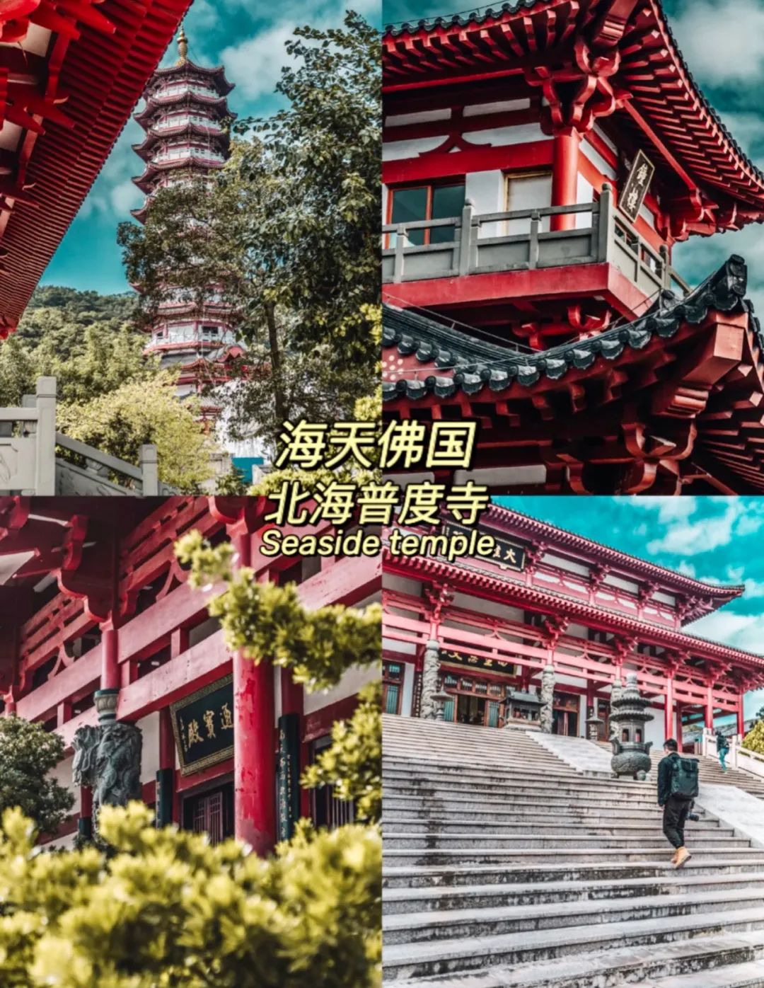 小红书©️ 充周