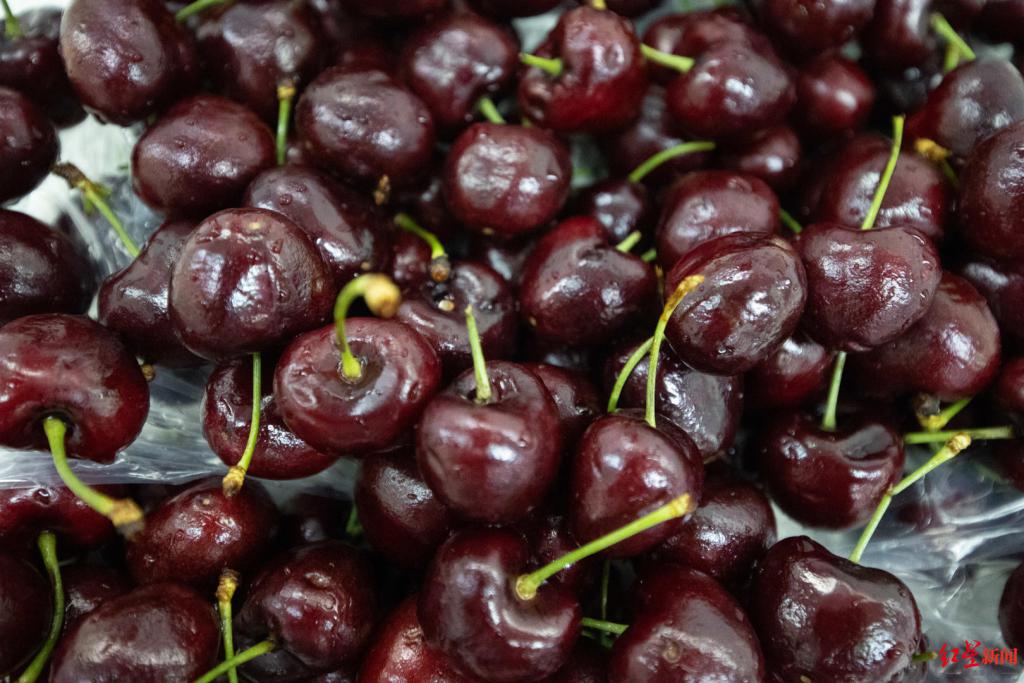 车厘子价格腰斩?实探批发商:降价大约两三成,"这才是正常价位"