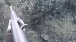 实拍：女猎人遇野猪袭击猛扑 慌乱中接连几枪都打偏了