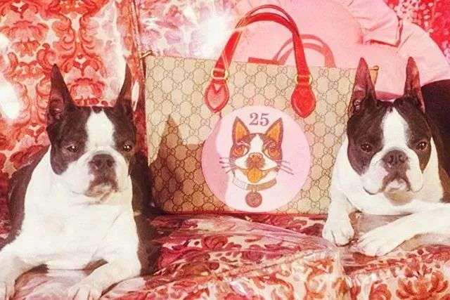 近三年来唐老鸭,米奇,哆啦a梦等虚拟卡通角色加入了gucci的动物园.