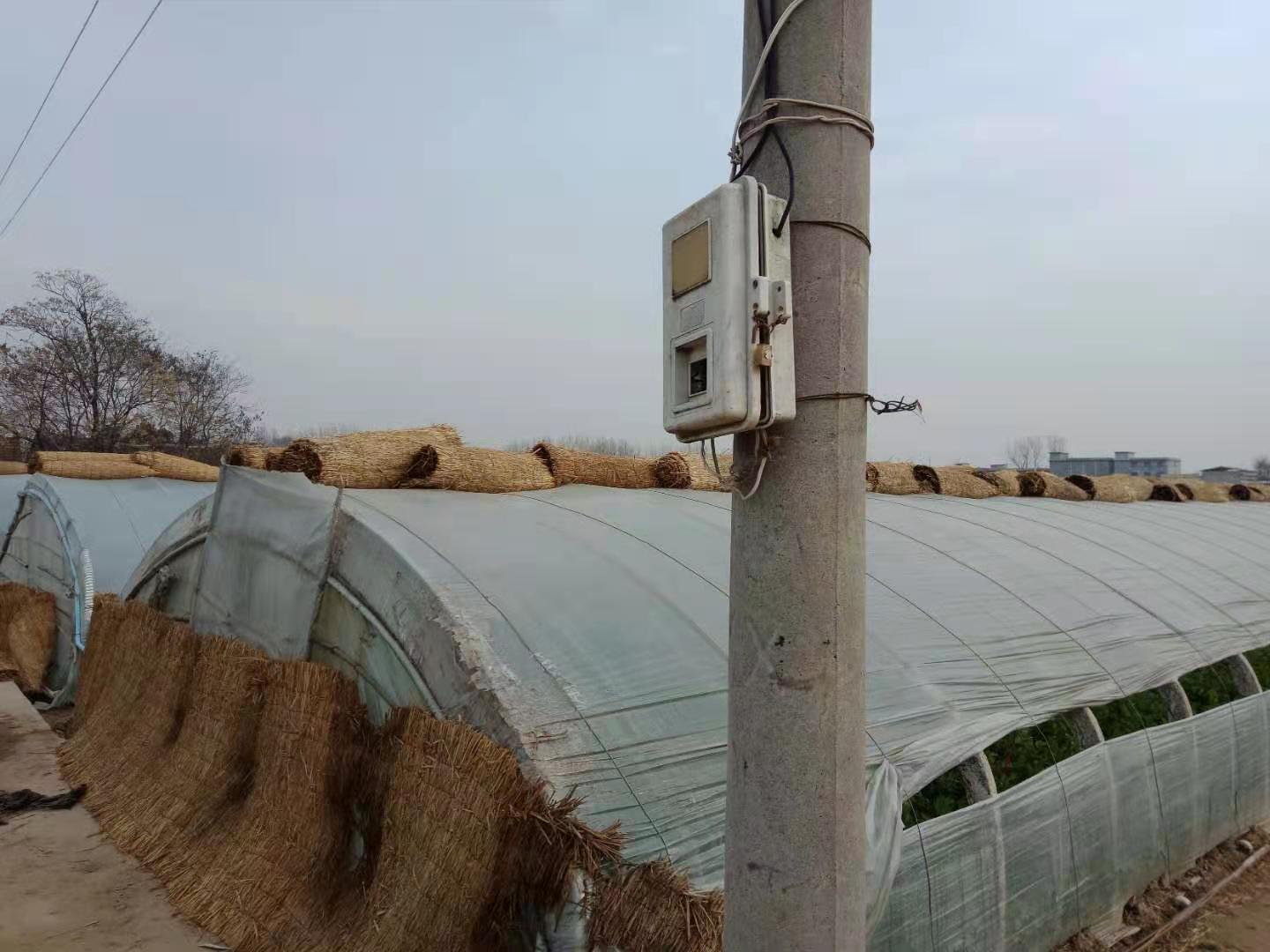 ​ 鲁山县张良镇：菜农创新组建高效用电“小集体”