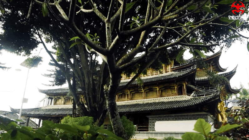 ©抖音：临沧融媒
