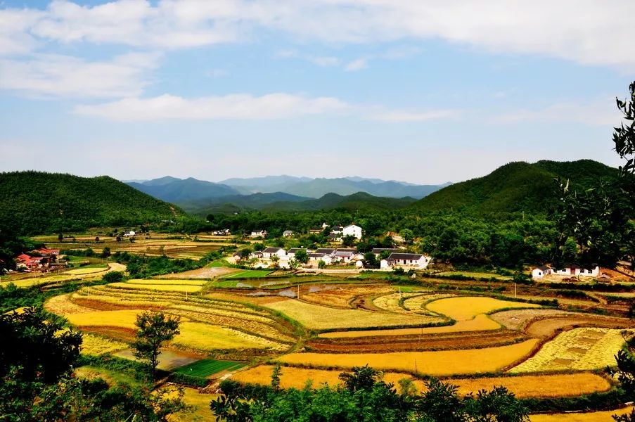湖北这个世界长寿之乡，位于神秘北纬31°，典藏众多山水美景，少有人知，但知道的人都想去养老！