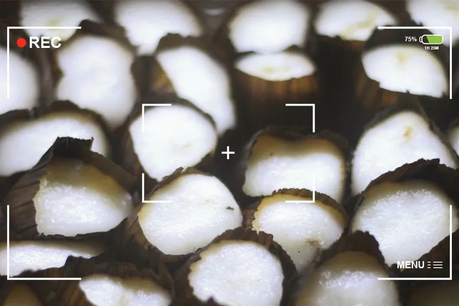 1张照片1盘菜，川西古镇值得爱