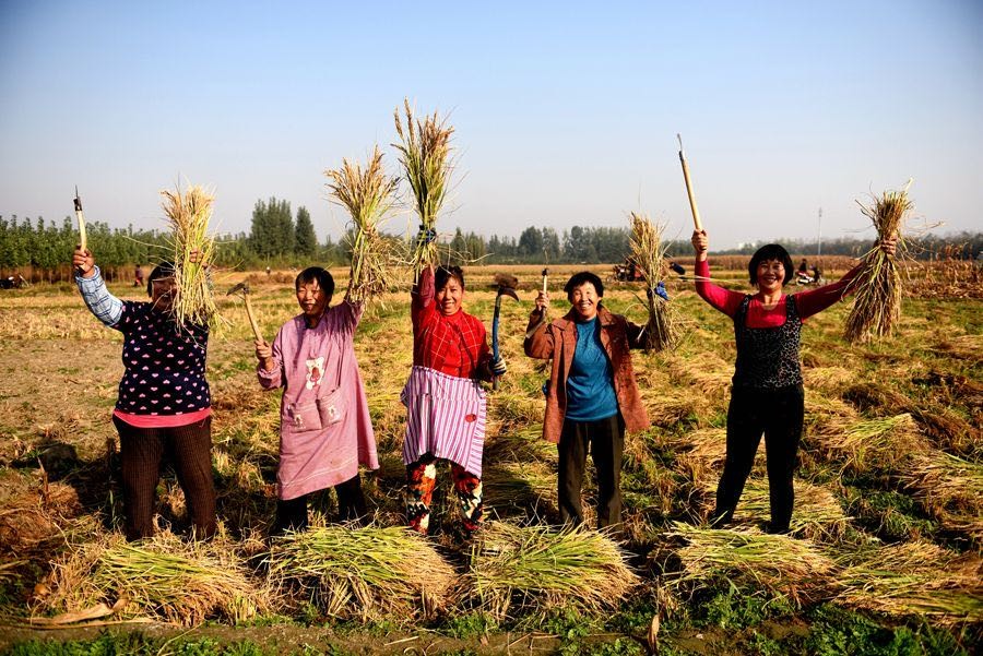 新农民培训活动