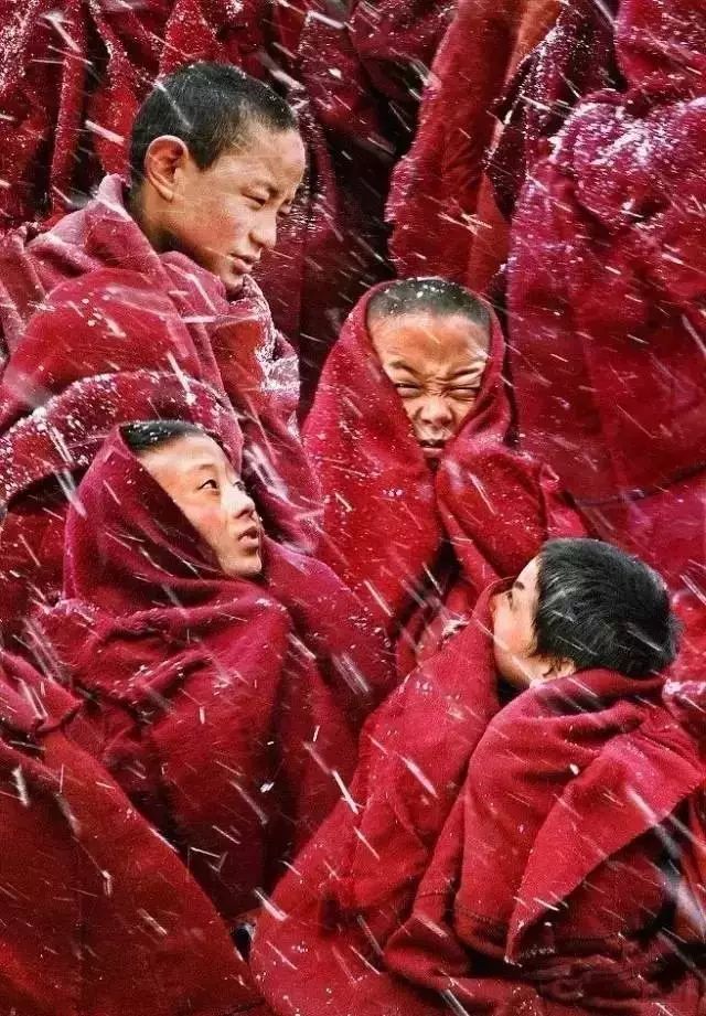 超有用！2021西藏最美旅行时间表，收藏起来以后去吧！