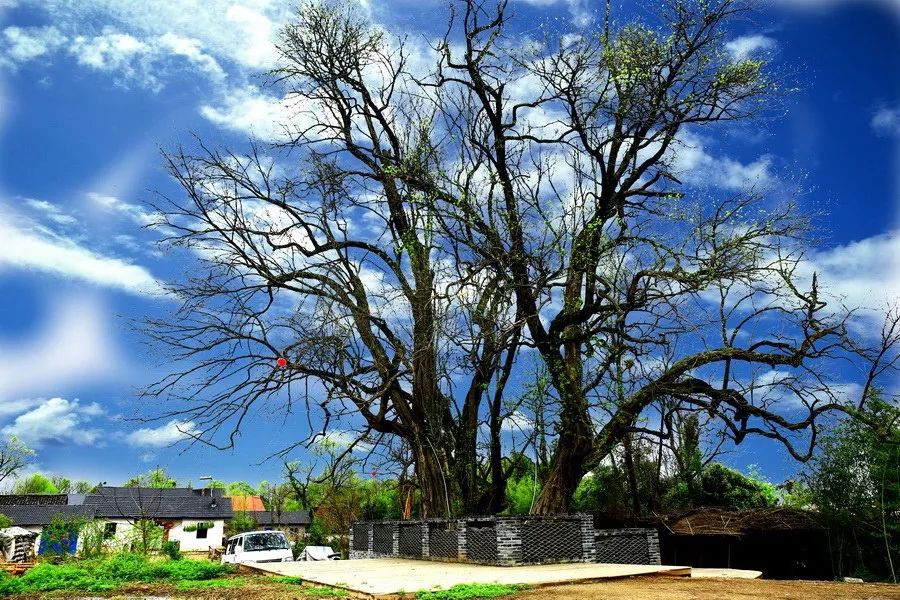 湖北这个世界长寿之乡，位于神秘北纬31°，典藏众多山水美景，少有人知，但知道的人都想去养老！